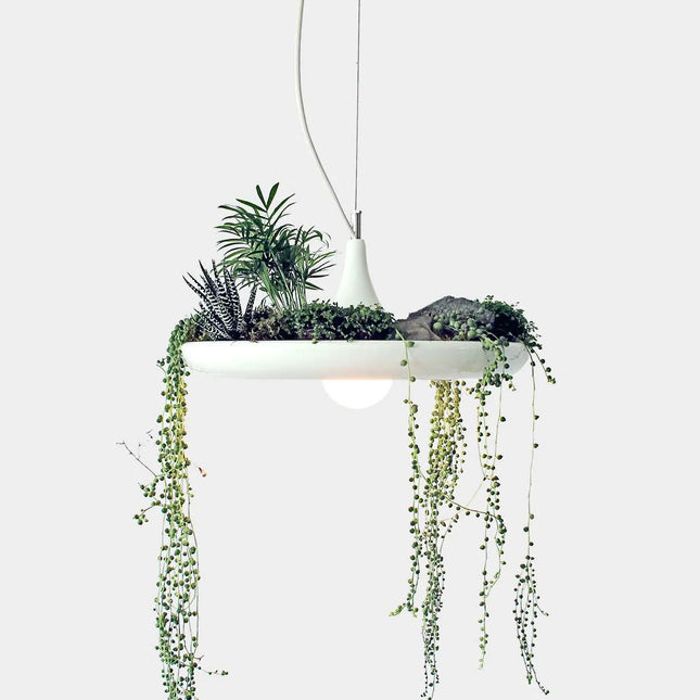 White hanging planter lampshade with plants on a light gray background