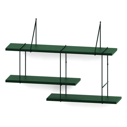 wooden oak shelf painted in green hanging on a white background