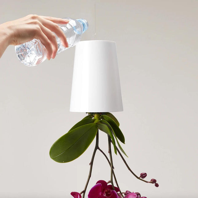 self watering plant pot hanging from the ceiling