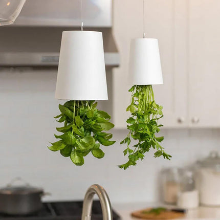 white boskke self watering plant pot hanging from the ceiling