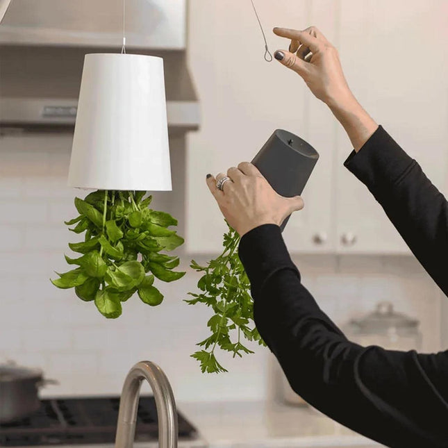 Hanging Self-Watering Plant Pot