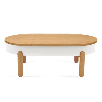 Large Batea Minimalist Storage Coffee Table