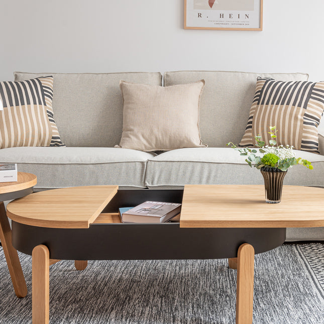 Large Batea Minimalist Storage Coffee Table