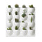 Wall-mounted mini vertiplant planters with various cacti and succulents in white pots on a white background