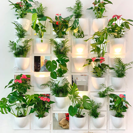 Wall with a grid of white vertiplants planters containing various potted plants.