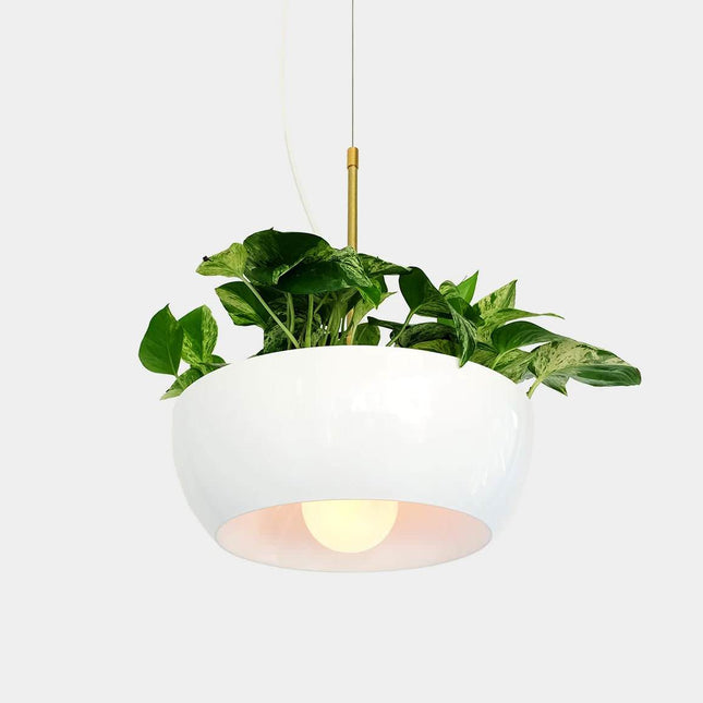 White hanging pendant light with a plant inside on a white background