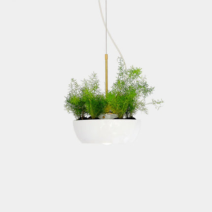 White metal Hanging pendant planter with green plants on a white background
